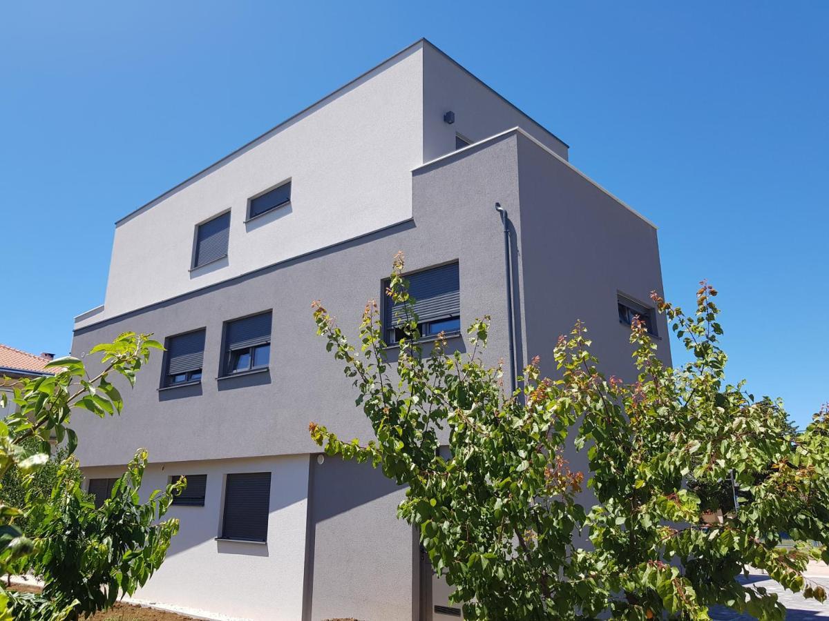 Vila Maslina - Apartman 3 扎达尔 外观 照片